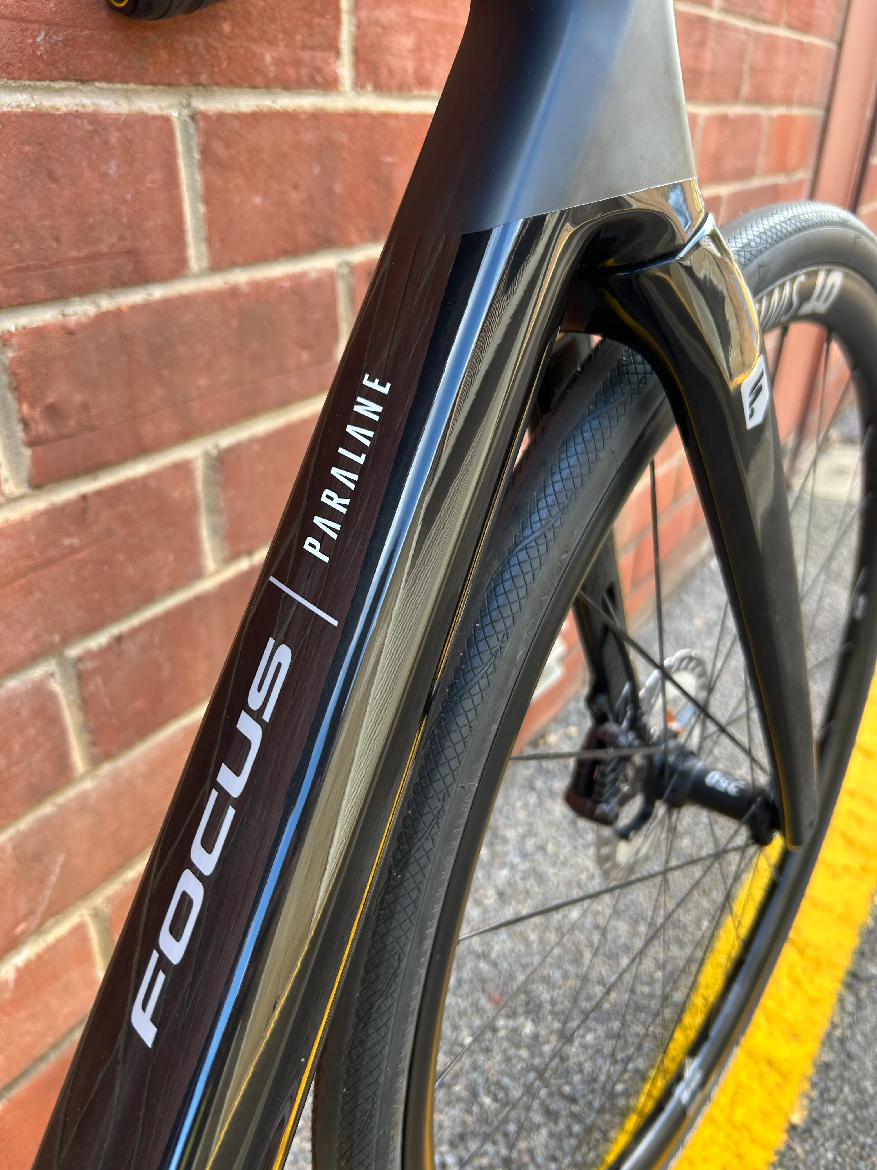 2024 Focus Paralane 8.9 - Medium - Image 6