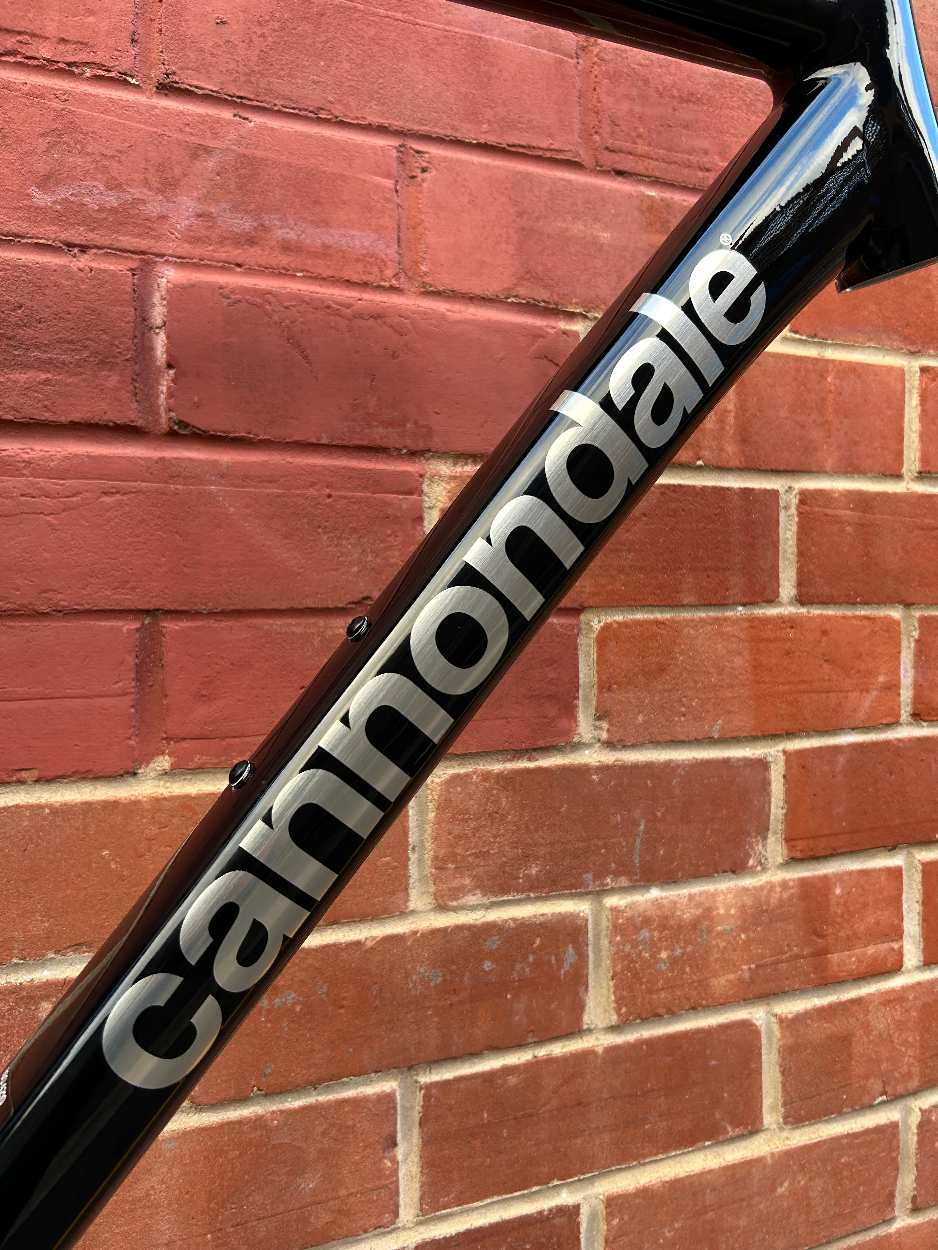 2026 Cannondale CAAD14 Frameset - Image 2