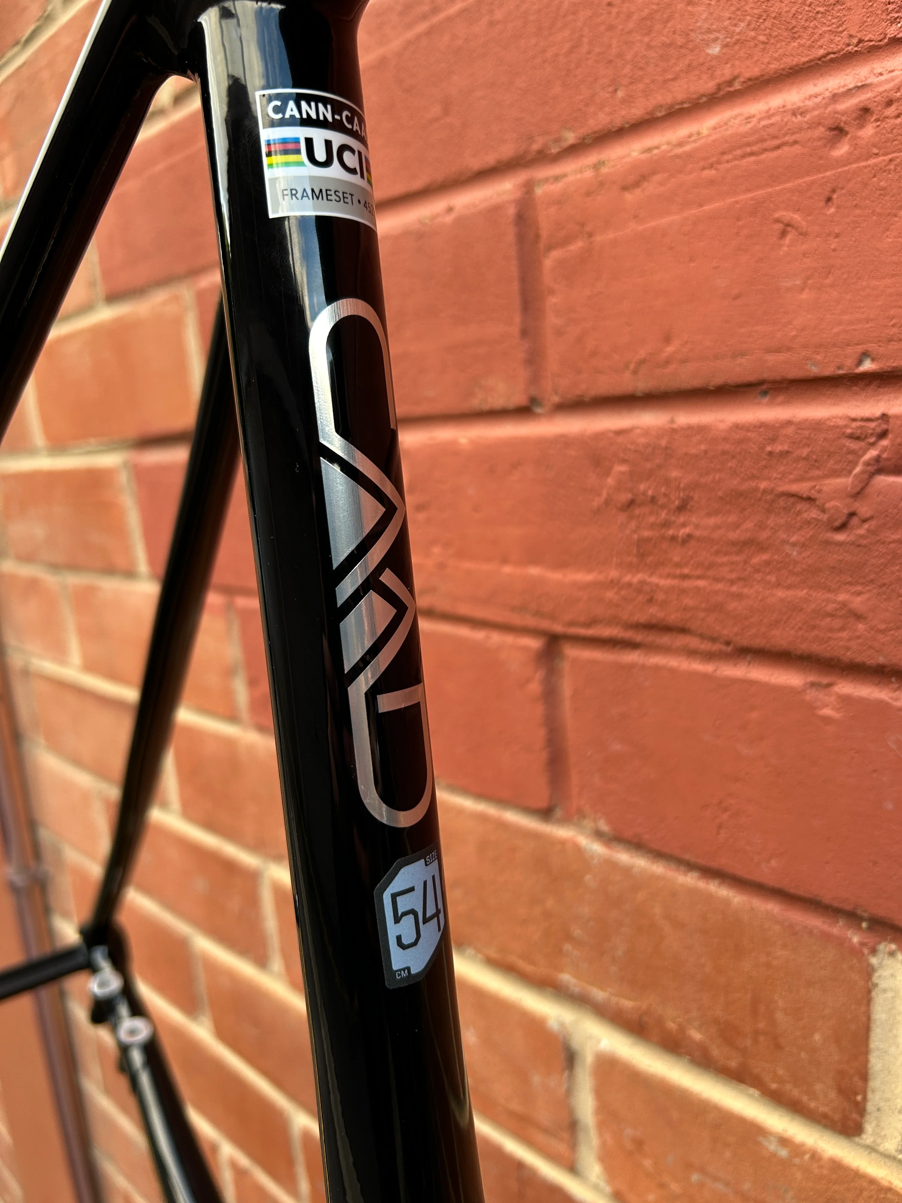 2026 Cannondale CAAD14 Frameset - Image 3