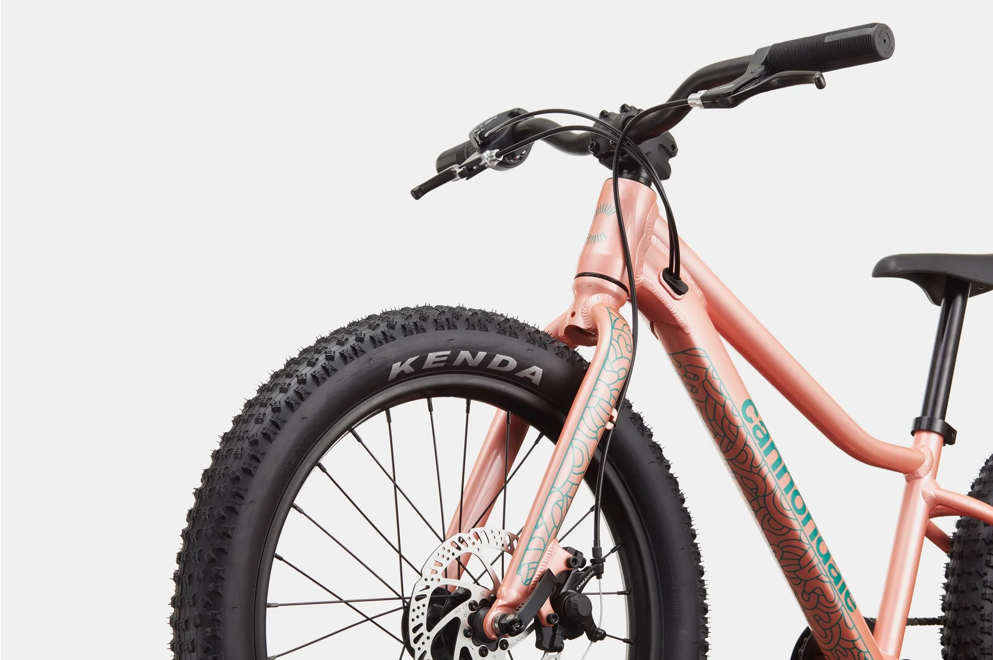 2026 Cannondale Kids Trail Plus 20" - Image 5